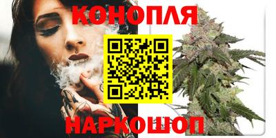 дмт Заводоуковск